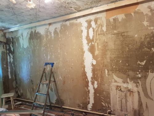 Наш сын, всего лишь шестнадцатилетний, уже приложил руку к ремонту гостиной! 01