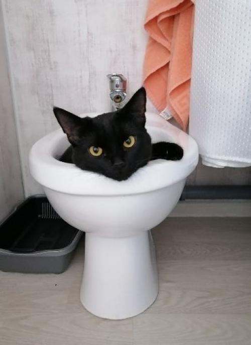 Комната в общаге 15 кв. 08