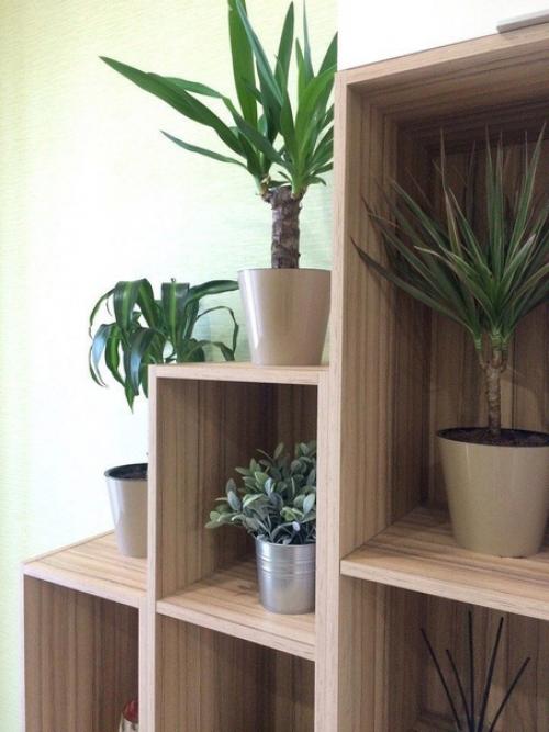 У нас немного не стандартная кухня. 04