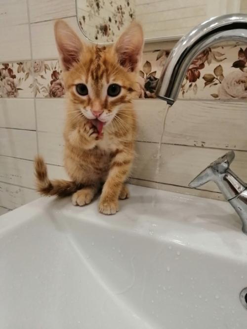 Интерьер нашей ванны. 04