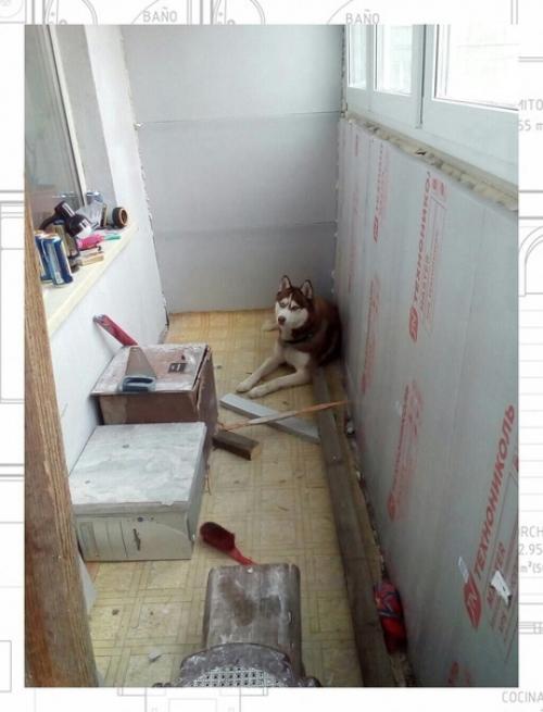 Показываю как я утеплял лоджию. 03