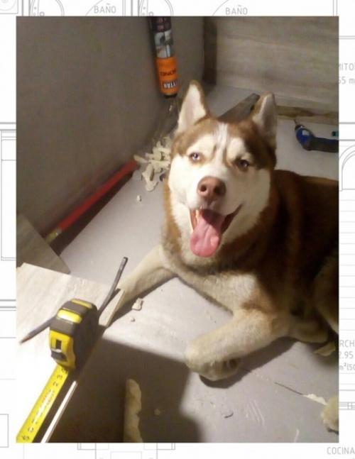 Показываю как я утеплял лоджию. 04