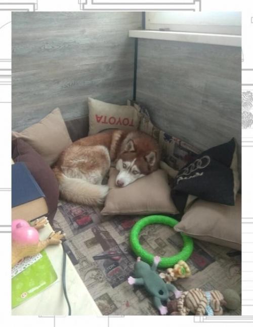 Показываю как я утеплял лоджию. 07