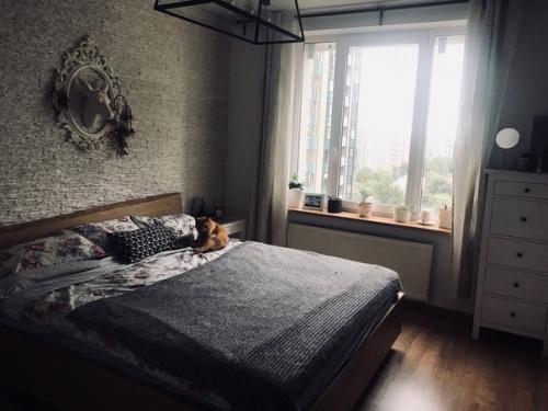 Наша питерская квартирка, находиться в новостройке.