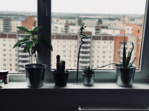 Наша питерская квартирка, находиться в новостройке. 05