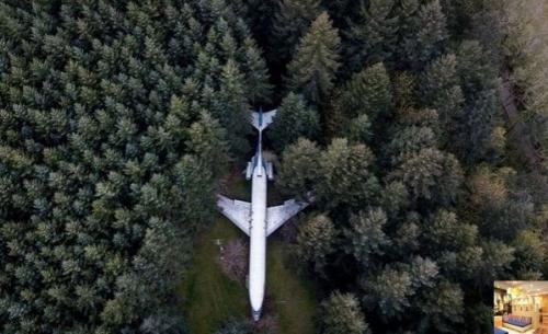 Однажды мужчина нашел посреди леса заброшенный самолет, как он туда попал, это конечно загадка. 04