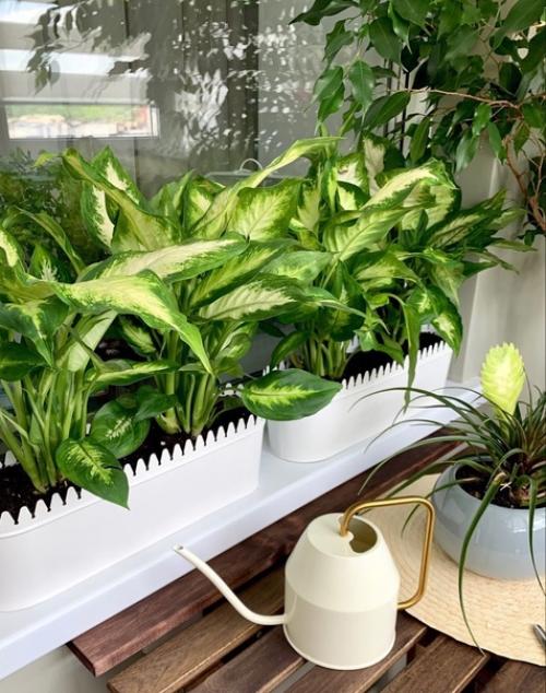 И свой балкончик показываю. 04