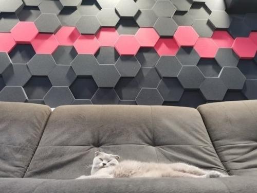 Мое холостяцкое убежище. 03