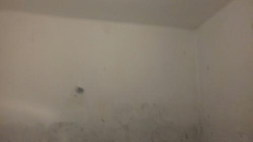 Вот так делал ремонт в ванной комнате. 01