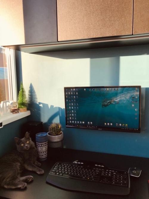 Ремонт в нашей квартире, площадь 40 кв. 06