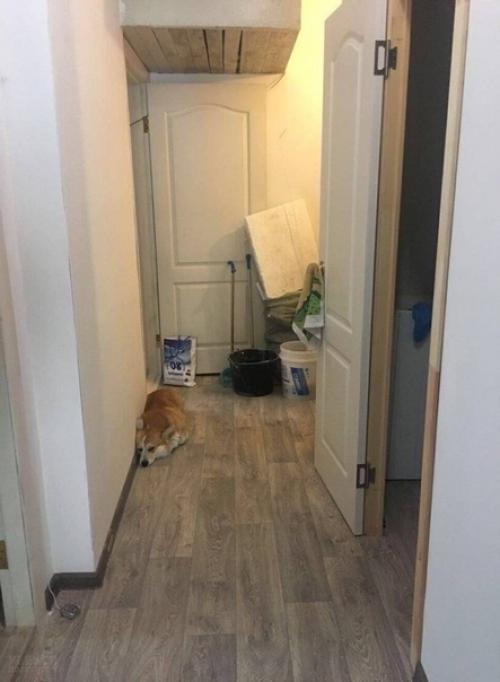 Из рубрики Искала я, Значит, Квартиру для Аренды. 01