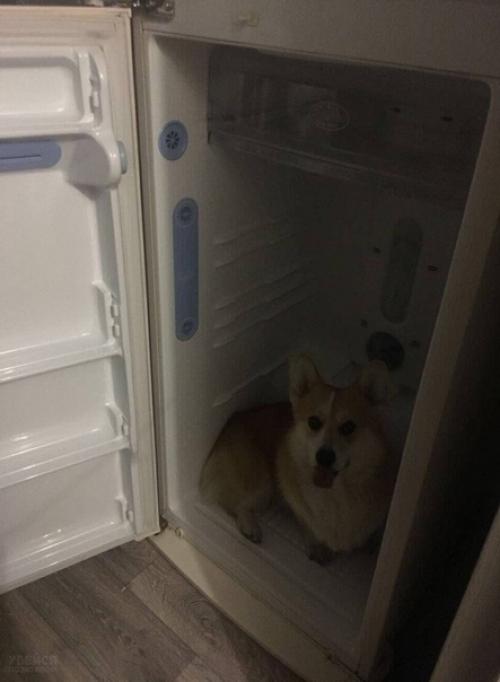 Из рубрики Искала я, Значит, Квартиру для Аренды. 03