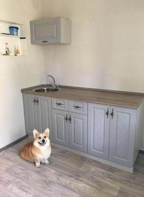 Из рубрики Искала я, Значит, Квартиру для Аренды. 02