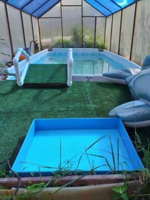 Мы сделали себе такой бассейн на участке. 01