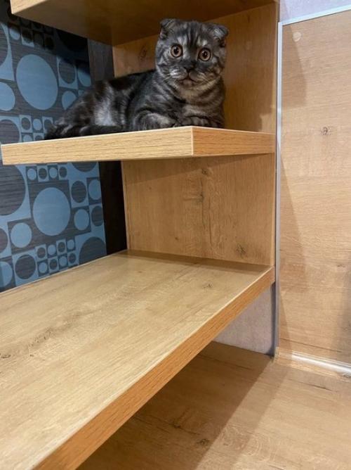 Мы приняли решение провести капитальный ремонт на кухне, чтобы сделать её более функциональной.