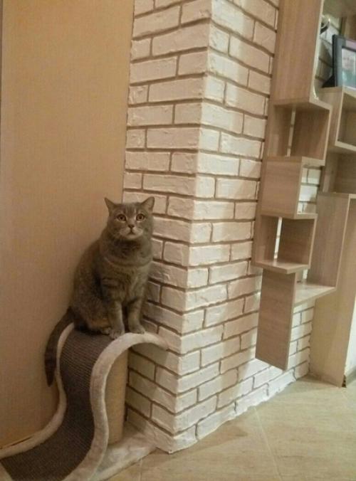 Небольшой декор стены в нашей прихожей. 07