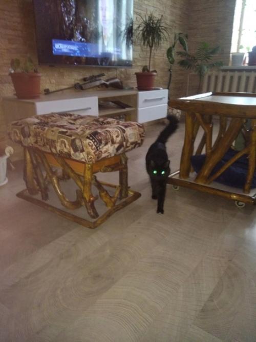 Смастерил немного мебели в дом из обычных сучков. 02