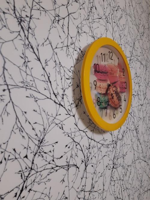 Наша солнечная кухня. 06