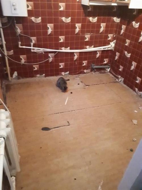 Мне 19 лет и я впервые собственноручно сделал ремонт. 01