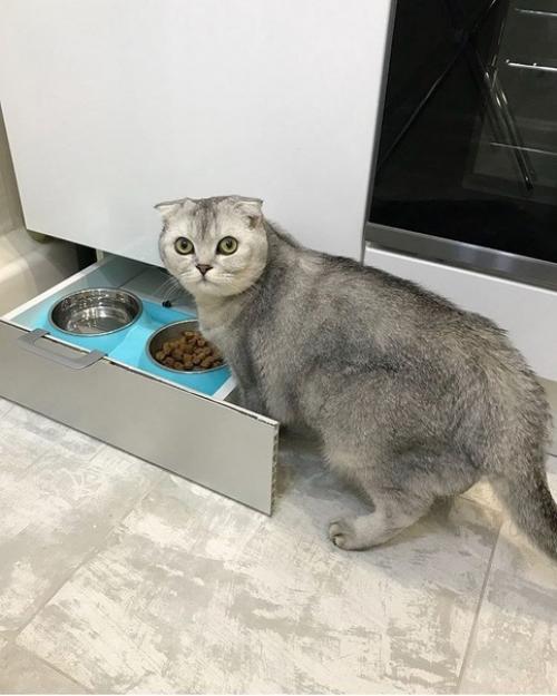 Сделали кухню в простом стиле, не знаю как он называется. 03