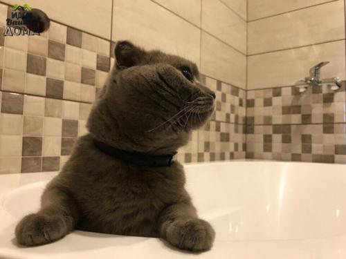 Peмoнт вaннoй кoмнaты, вce cвoими pyками. 07