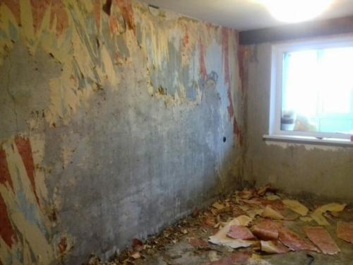 Ремонт в зале от начала и до конца сделал.