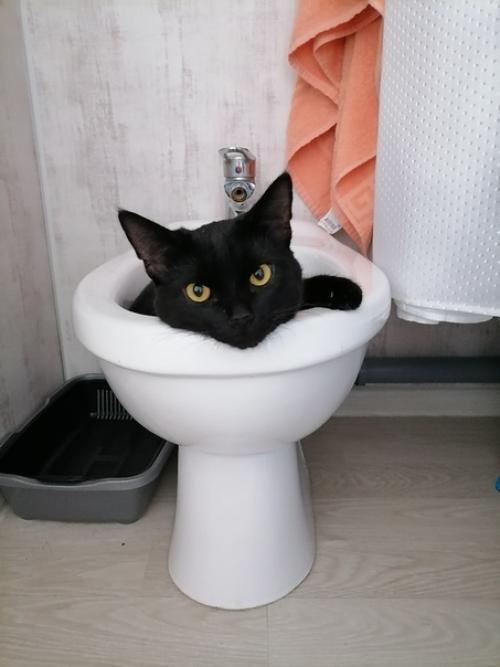 Вот как нам удалось сделать ремонт комнаты в общежитии (13 кв. 08