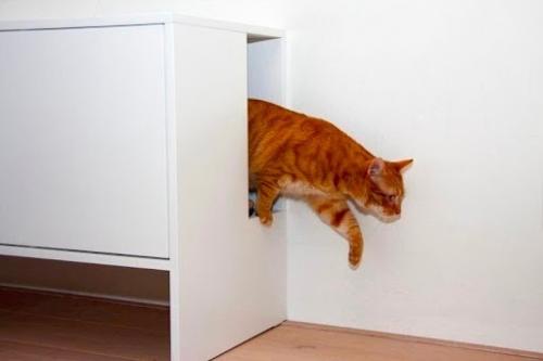 Асскажу вам отличный способ спрятать кошачий лоток даже в интерьере! 04