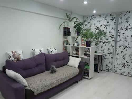 Вот такую простенькую гостиную мы обустроили себе. 02