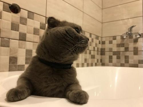 Сделали с мужем ремонт в нашей ванной комнате с нуля. 07