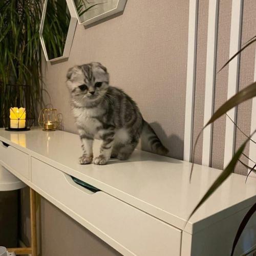 Вот так оформили себе спальную комнату. 06