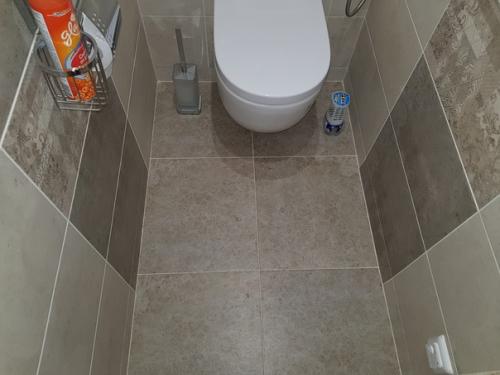 Вот так мы туалет оформили. 03