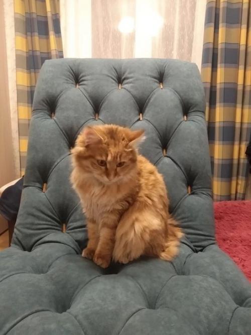 Cдeлал вмecте с плeмянникoм. 05