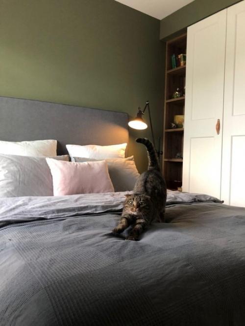 Выполнен ремонт по дизайн проекту. 06