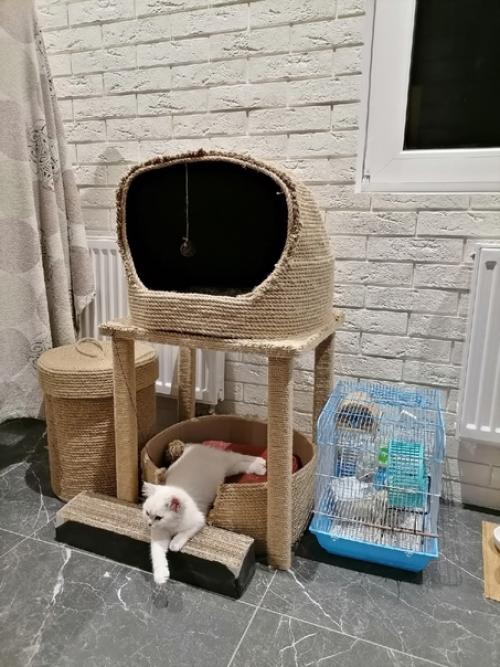 Часть сделанного ремонта в нашей квартире показываю. 03