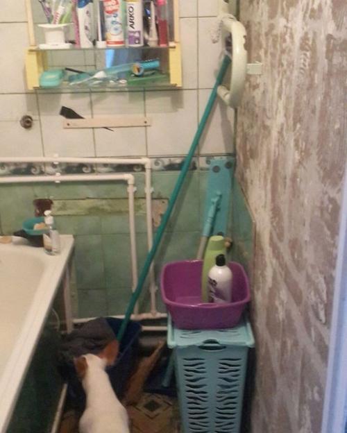 Мы решили, что пора бы поменять дизайн ванной.