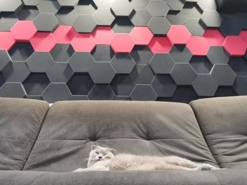 Сделал себе ремонт в основной комнате, всё под себя. 03