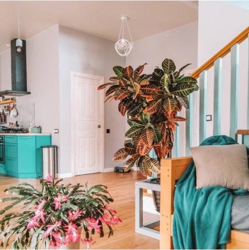 Очень мечтали с семьёй иметь загородный дом, и правду говорят, что мечты сбываются. 03