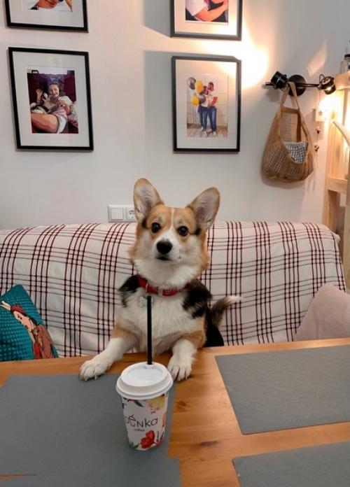 Наша маленькая кухонька. 03