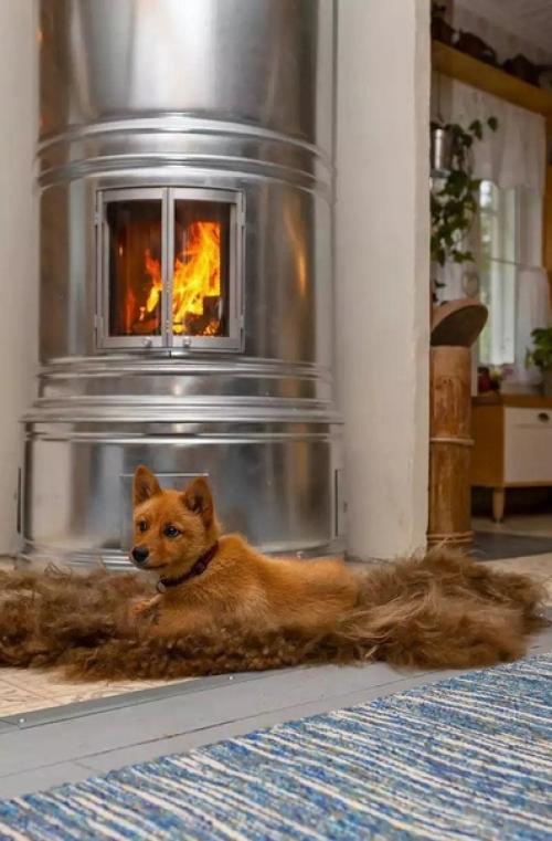 Молодая пара, ища свой уникальный дом, купила очень старую фабрику и превратила её в уютный коттедж. 04