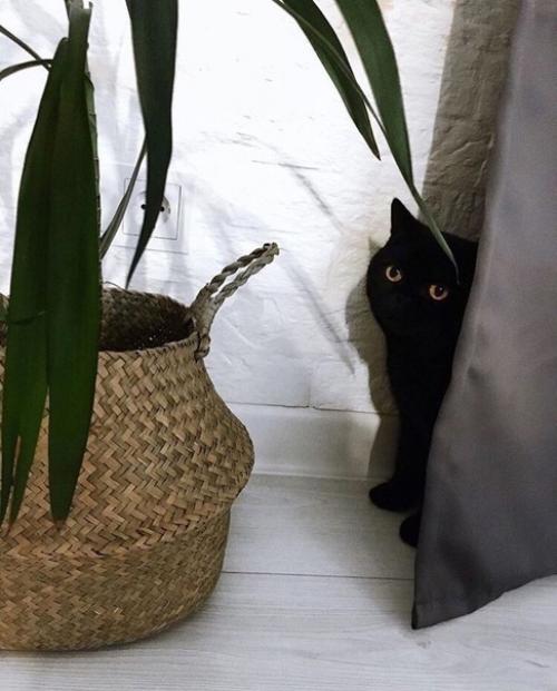 Наша квартира.  Весь дизайн разрабатывал профессиональный дизайнер, исходя из наших пожеланий. 04