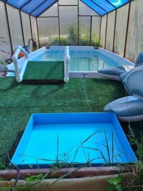 Долго думали, и решили, что огурцы можно купить на рынке, зато у нас теперь есть свой бассейн. 01