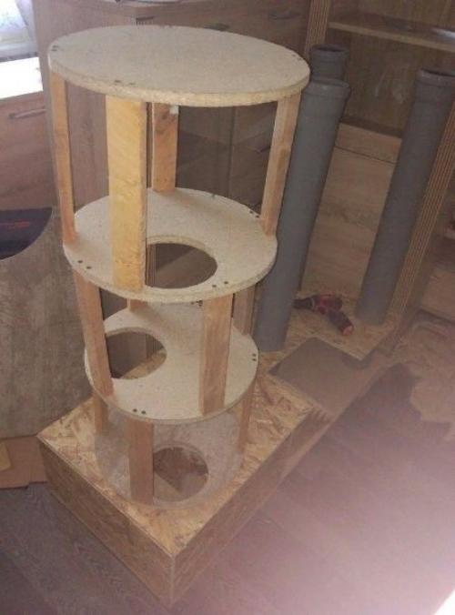 Тот момент, когда крайне важно, чтобы кот остался доволен. 04