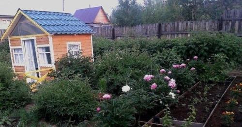 С гордостью можно сказать, что дедушка построил уютную избушку для своих внучат на своем участке. 03