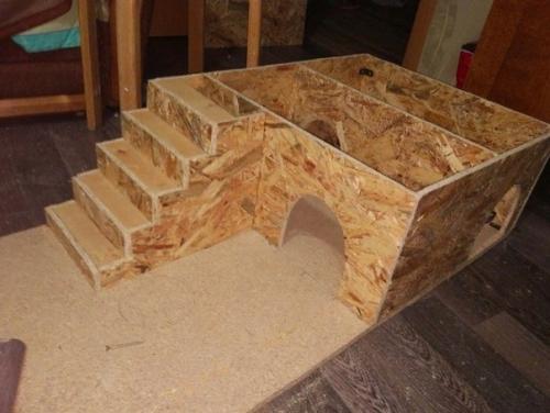 Тот момент, когда крайне важно, чтобы кот остался доволен. 03