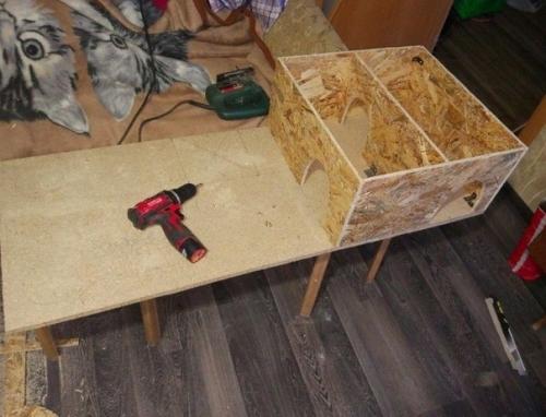 Тот момент, когда крайне важно, чтобы кот остался доволен. 01