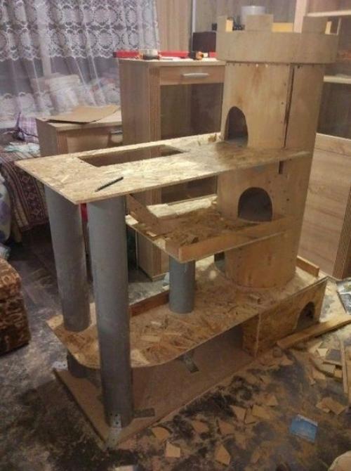 Тот момент, когда крайне важно, чтобы кот остался доволен. 05