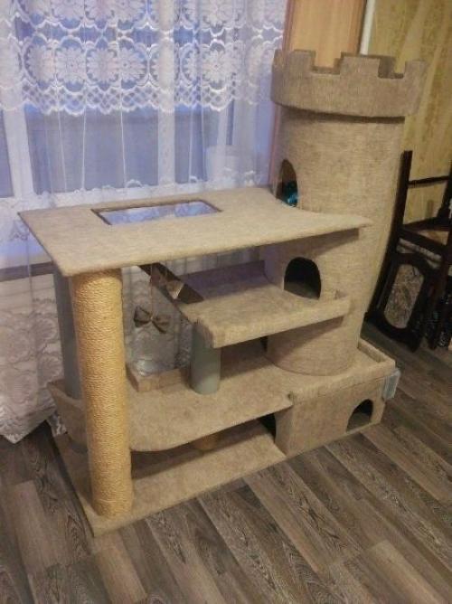 Тот момент, когда крайне важно, чтобы кот остался доволен.