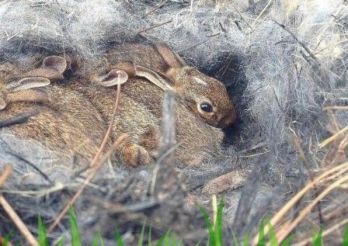 Вы только посмотрите, какая Находка была у нашей подписчицы на даче в этом году. 02