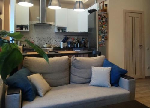 Наше семейное гнездышко, кухня гостинная 25 кв. 01